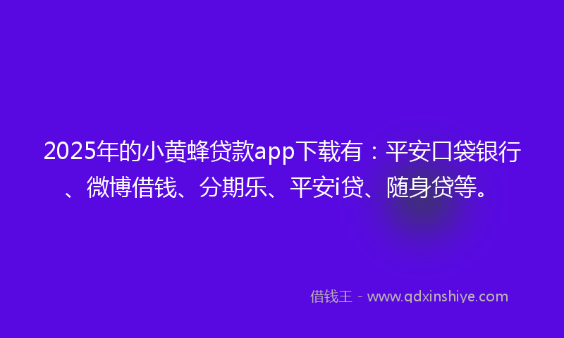 2025年的小黄蜂贷款app下载有：平安口袋银行、微博借钱、分期乐、平安i贷、随身贷等。