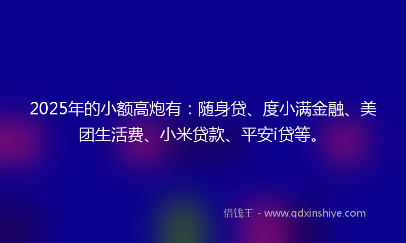 2025年的小额高炮有：随身贷、度小满金融、美团生活费、小米贷款、平安i贷等。