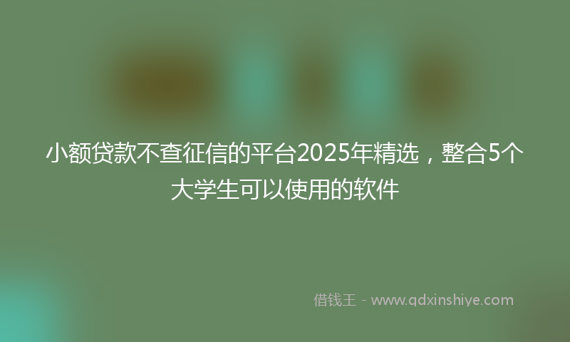 小额贷款不查征信的平台2025年精选，整合5个大学生可以使用的软件