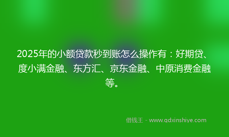 2025年的小额贷款秒到账怎么操作有：好期贷、度小满金融、东方汇、京东金融、中原消费金融等。