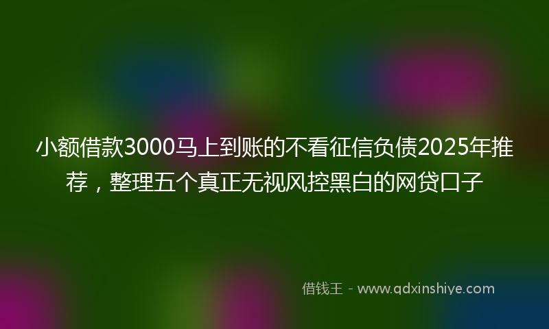 小额借款3000马上到账的不看征信负债2025年推荐，整理五个真正无视风控黑白的网贷口子