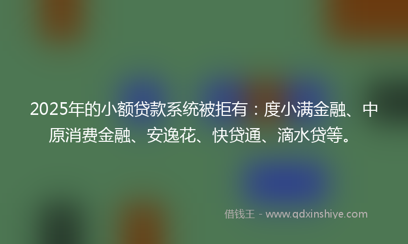 2025年的小额贷款系统被拒有：度小满金融、中原消费金融、安逸花、快贷通、滴水贷等。