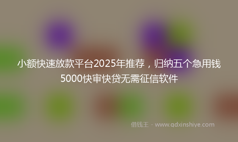 小额快速放款平台2025年推荐，归纳五个急用钱5000快审快贷无需征信软件