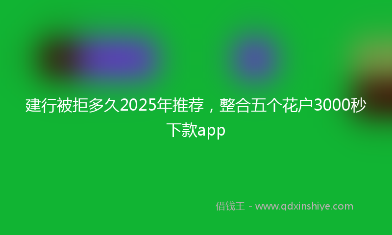 建行被拒多久2025年推荐，整合五个花户3000秒下款app