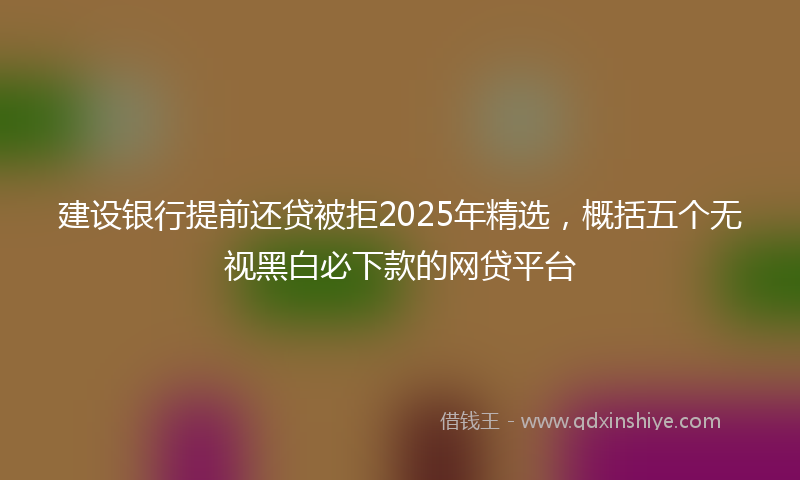 建设银行提前还贷被拒2025年精选，概括五个无视黑白必下款的网贷平台