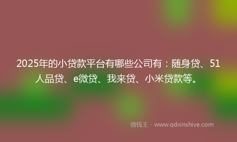 2025年的小贷款平台有哪些公司有：随身贷、51人品贷、e微贷、我来贷、小米贷款等。