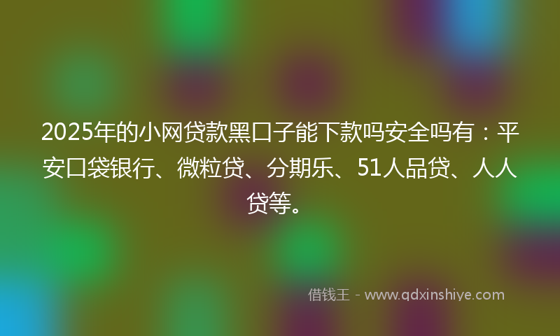 2025年的小网贷款黑口子能下款吗安全吗有：平安口袋银行、微粒贷、分期乐、51人品贷、人人贷等。