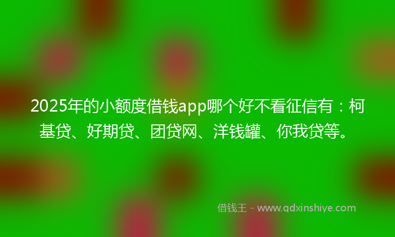 2025年的小额度借钱app哪个好不看征信有：柯基贷、好期贷、团贷网、洋钱罐、你我贷等。