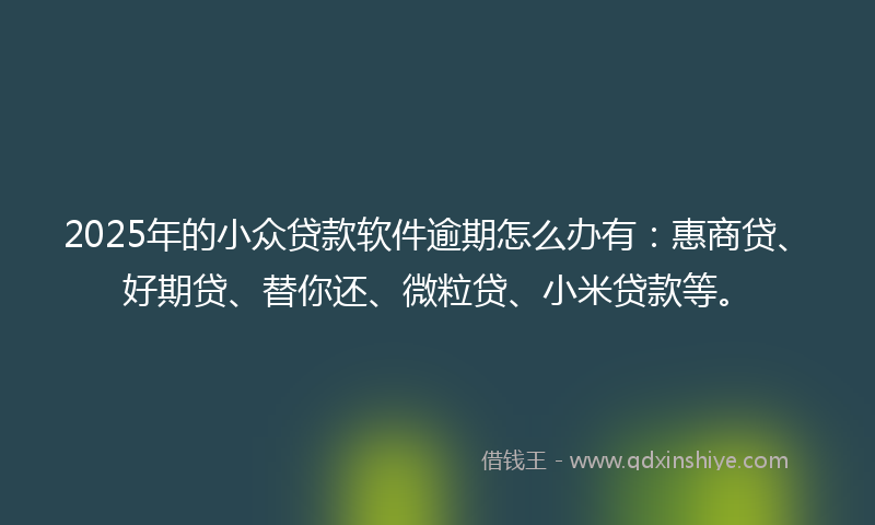 2025年的小众贷款软件逾期怎么办有：惠商贷、好期贷、替你还、微粒贷、小米贷款等。