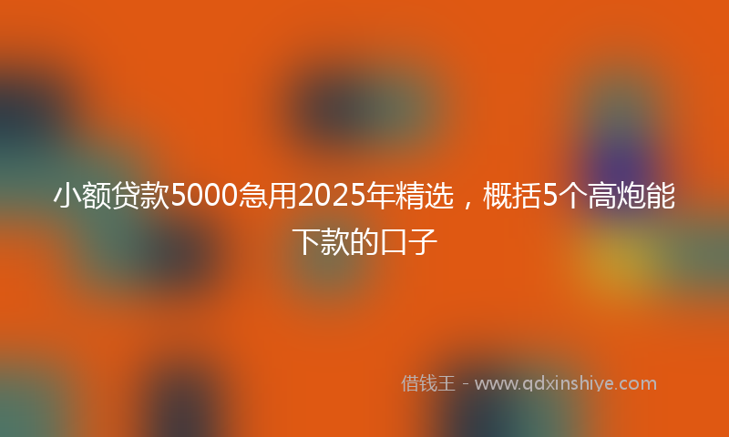 小额贷款5000急用2025年精选，概括5个高炮能下款的口子