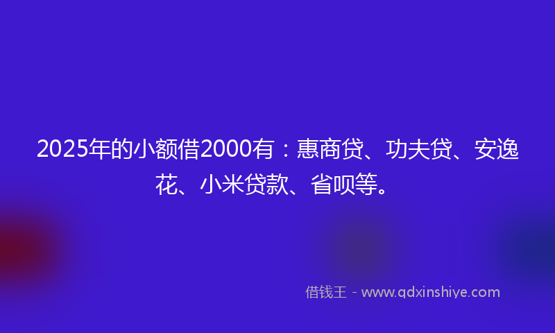 2025年的小额借2000有：惠商贷、功夫贷、安逸花、小米贷款、省呗等。