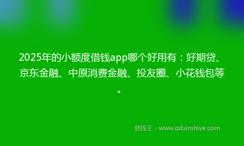 2025年的小额度借钱app哪个好用有：好期贷、京东金融、中原消费金融、投友圈、小花钱包等。