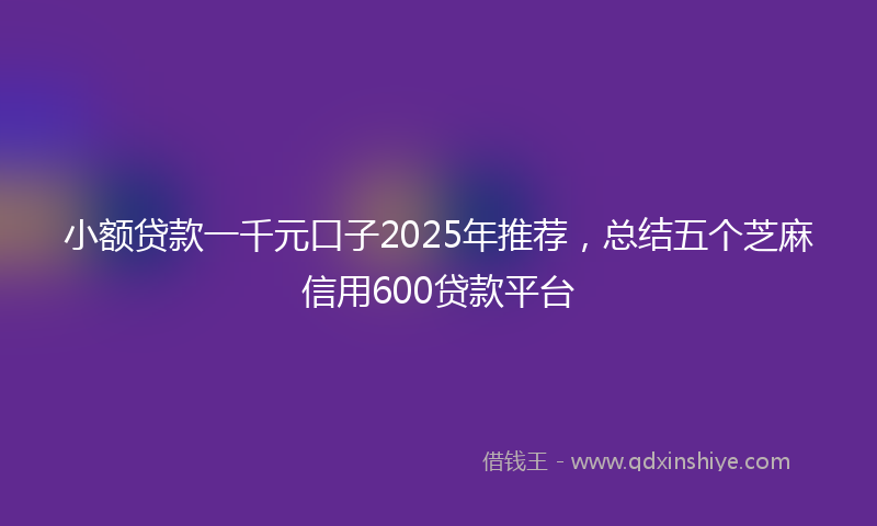 小额贷款一千元口子2025年推荐，总结五个芝麻信用600贷款平台