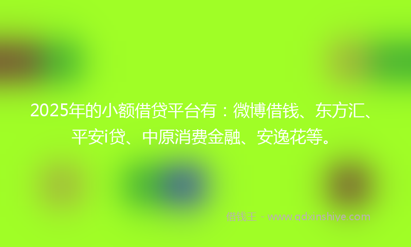 2025年的小额借贷平台有：微博借钱、东方汇、平安i贷、中原消费金融、安逸花等。