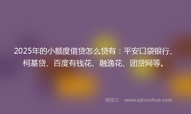 2025年的小额度借贷怎么贷有：平安口袋银行、柯基贷、百度有钱花、融逸花、团贷网等。
