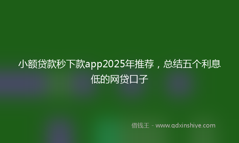 小额贷款秒下款app2025年推荐，总结五个利息低的网贷口子