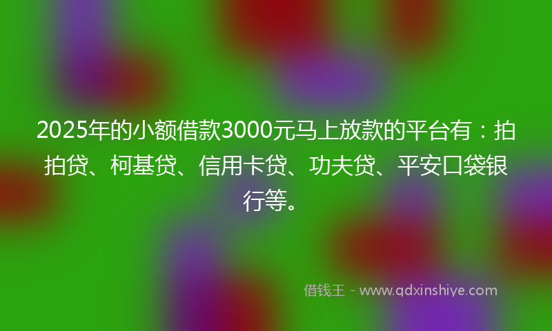 2025年的小额借款3000元马上放款的平台有：拍拍贷、柯基贷、信用卡贷、功夫贷、平安口袋银行等。