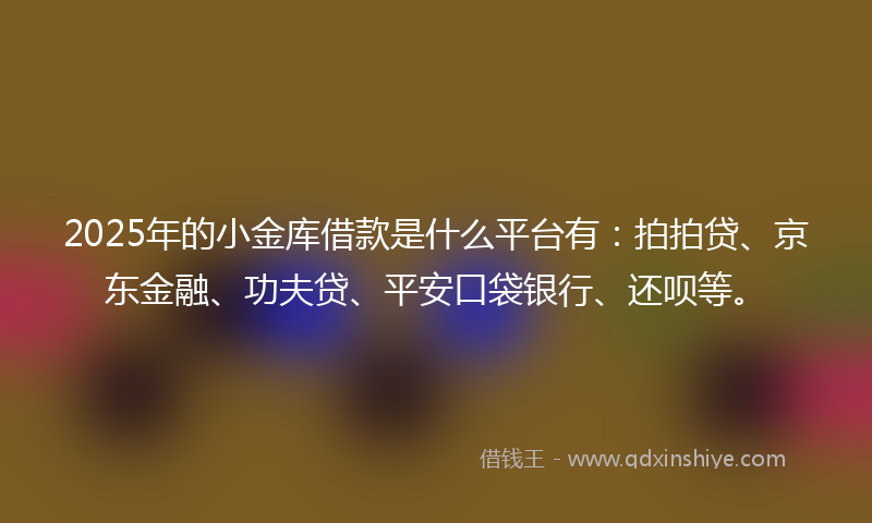 2025年的小金库借款是什么平台有：拍拍贷、京东金融、功夫贷、平安口袋银行、还呗等。