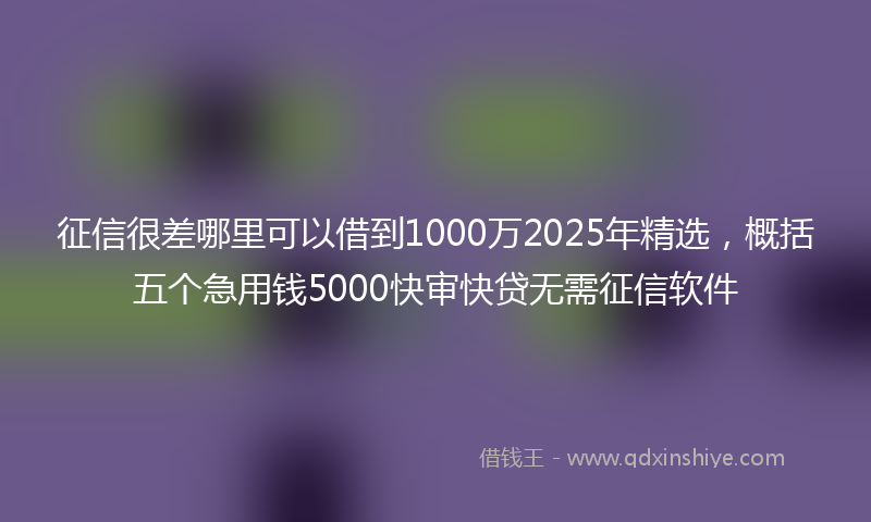 征信很差哪里可以借到1000万2025年精选，概括五个急用钱5000快审快贷无需征信软件