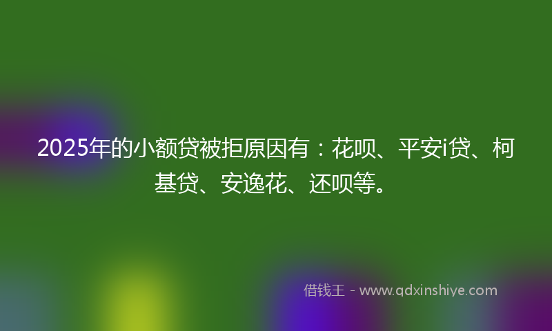 2025年的小额贷被拒原因有：花呗、平安i贷、柯基贷、安逸花、还呗等。