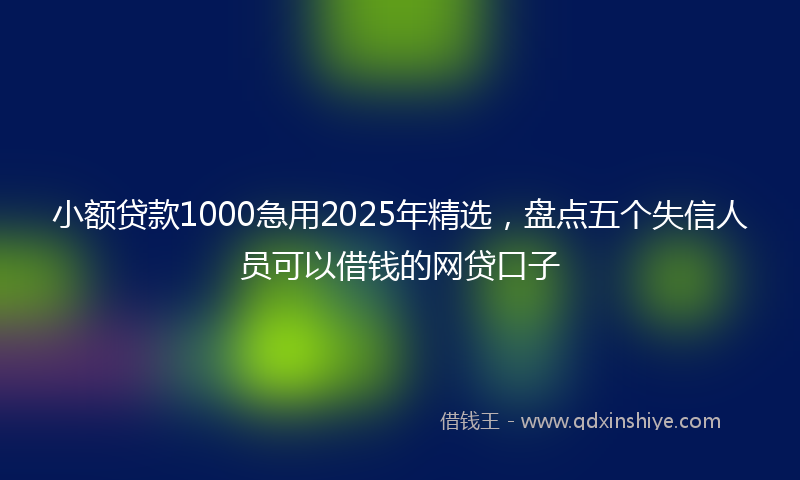 小额贷款1000急用2025年精选，盘点五个失信人员可以借钱的网贷口子