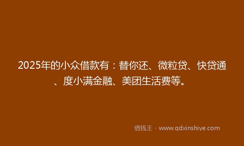 2025年的小众借款有：替你还、微粒贷、快贷通、度小满金融、美团生活费等。
