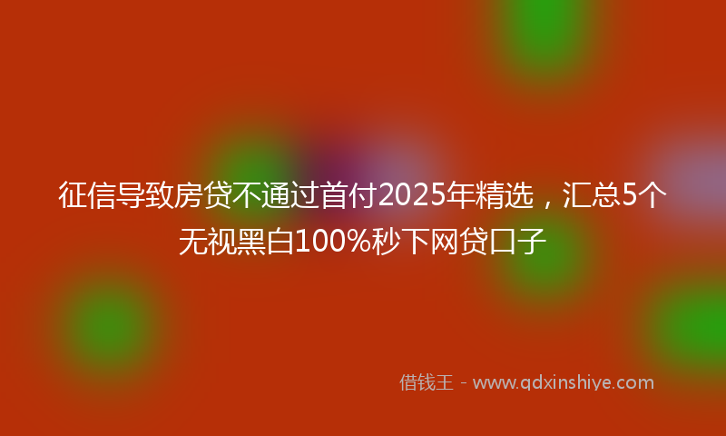征信导致房贷不通过首付2025年精选，汇总5个无视黑白100%秒下网贷口子