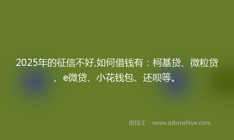 2025年的征信不好,如何借钱有：柯基贷、微粒贷、e微贷、小花钱包、还呗等。