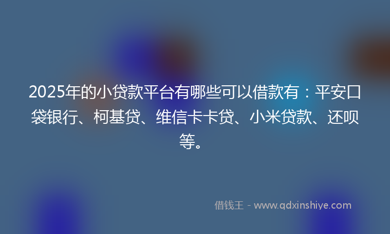 2025年的小贷款平台有哪些可以借款有：平安口袋银行、柯基贷、维信卡卡贷、小米贷款、还呗等。