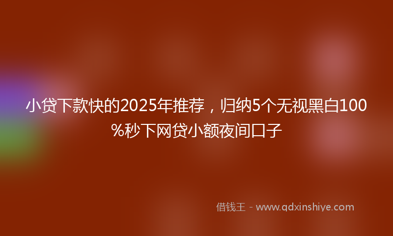 小贷下款快的2025年推荐，归纳5个无视黑白100%秒下网贷小额夜间口子