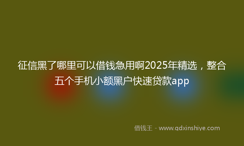 征信黑了哪里可以借钱急用啊2025年精选，整合五个手机小额黑户快速贷款app