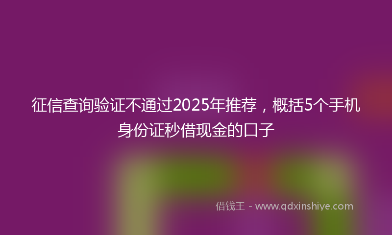 征信查询验证不通过2025年推荐，概括5个手机身份证秒借现金的口子