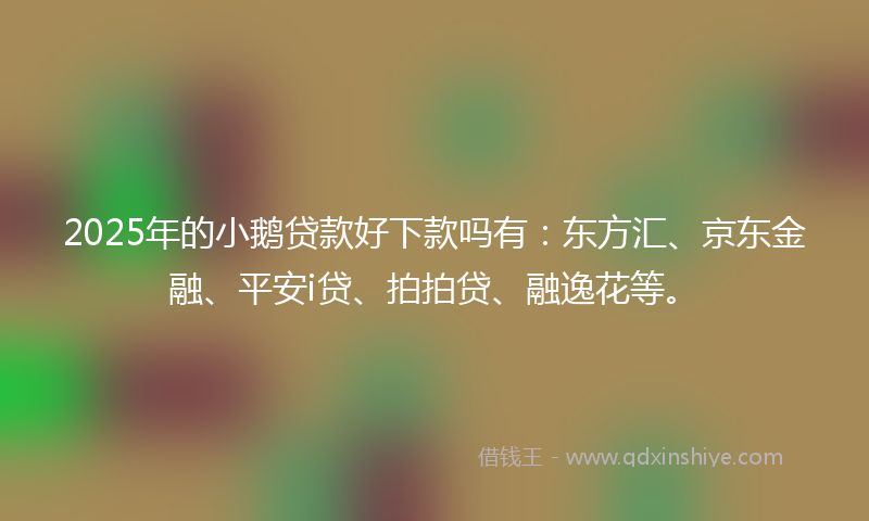 2025年的小鹅贷款好下款吗有：东方汇、京东金融、平安i贷、拍拍贷、融逸花等。