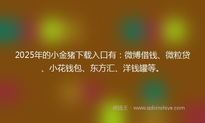 2025年的小金猪下载入口有：微博借钱、微粒贷、小花钱包、东方汇、洋钱罐等。