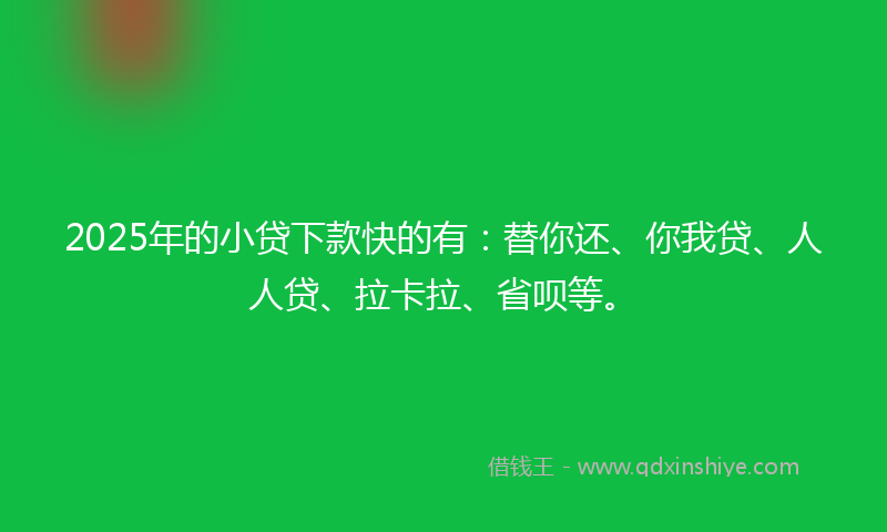 2025年的小贷下款快的有：替你还、你我贷、人人贷、拉卡拉、省呗等。