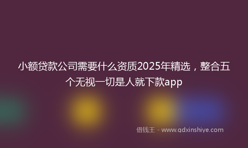 小额贷款公司需要什么资质2025年精选，整合五个无视一切是人就下款app