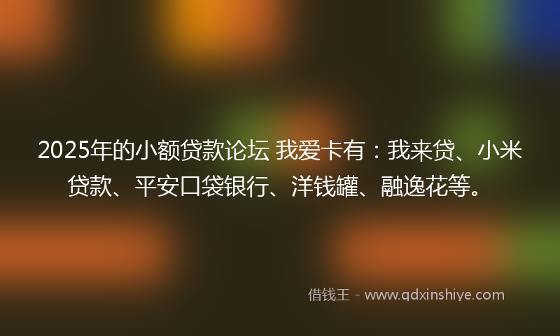 2025年的小额贷款论坛 我爱卡有：我来贷、小米贷款、平安口袋银行、洋钱罐、融逸花等。