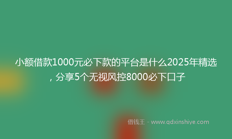小额借款1000元必下款的平台是什么2025年精选，分享5个无视风控8000必下口子