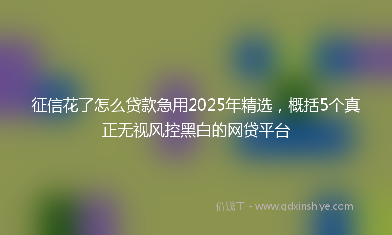 征信花了怎么贷款急用2025年精选，概括5个真正无视风控黑白的网贷平台