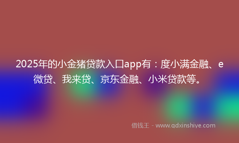 2025年的小金猪贷款入口app有：度小满金融、e微贷、我来贷、京东金融、小米贷款等。