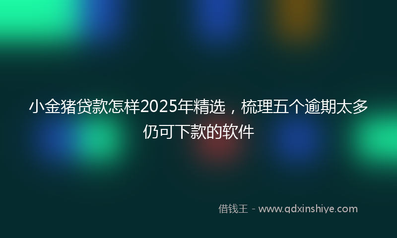 小金猪贷款怎样2025年精选，梳理五个逾期太多仍可下款的软件