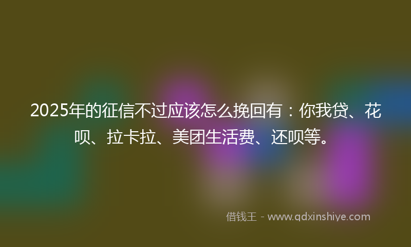 2025年的征信不过应该怎么挽回有：你我贷、花呗、拉卡拉、美团生活费、还呗等。