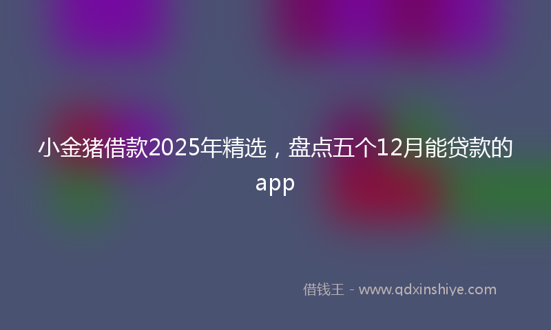 小金猪借款2025年精选，盘点五个12月能贷款的app