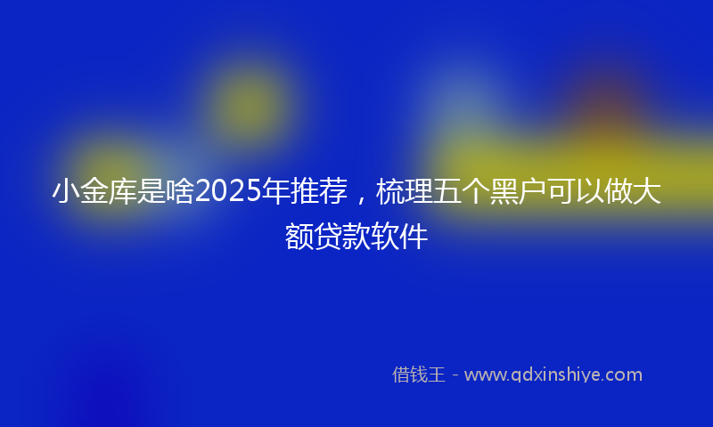 小金库是啥2025年推荐，梳理五个黑户可以做大额贷款软件