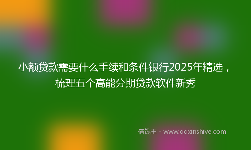 小额贷款需要什么手续和条件银行2025年精选，梳理五个高能分期贷款软件新秀
