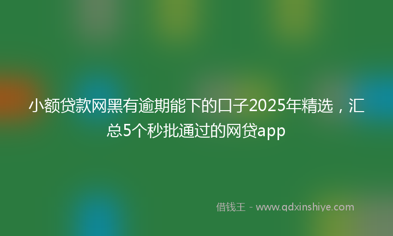 小额贷款网黑有逾期能下的口子2025年精选，汇总5个秒批通过的网贷app