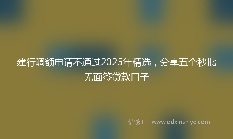 建行调额申请不通过2025年精选，分享五个秒批无面签贷款口子
