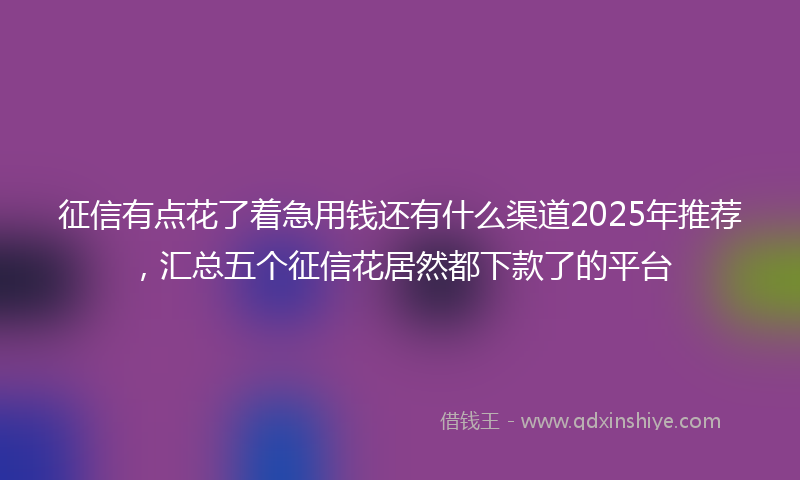 征信有点花了着急用钱还有什么渠道2025年推荐，汇总五个征信花居然都下款了的平台