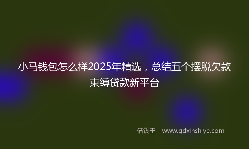 小马钱包怎么样2025年精选，总结五个摆脱欠款束缚贷款新平台