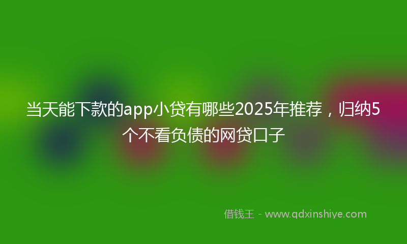 当天能下款的app小贷有哪些2025年推荐，归纳5个不看负债的网贷口子